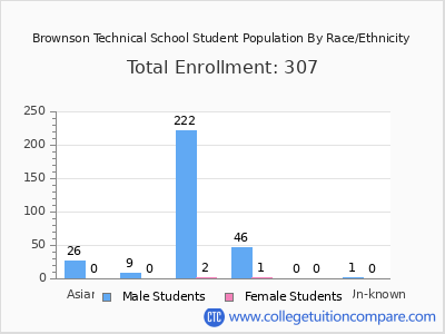 Brownson Technical School 2025 Student Population by Gender and Race chart