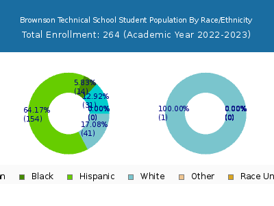 Brownson Technical School 2023 Student Population by Gender and Race chart