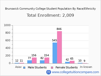 Brunswick Community College 2025 Student Population by Gender and Race chart