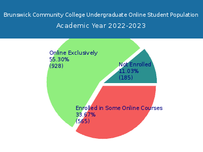 Brunswick Community College 2023 Online Student Population chart