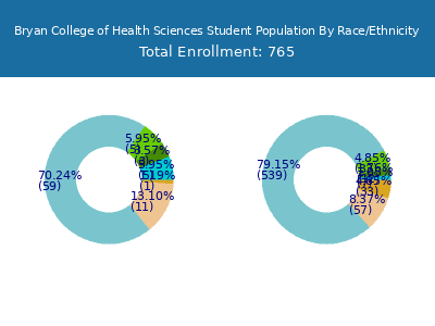 Bryan College of Health Sciences 2025 Student Population by Gender and Race chart