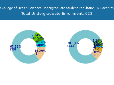 Bryan College of Health Sciences 2025 Undergraduate Enrollment by Gender and Race chart
