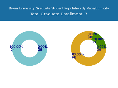 Bryan University 2025 Graduate Enrollment by Gender and Race chart