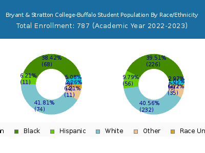 Bryant & Stratton College-Buffalo 2023 Student Population by Gender and Race chart
