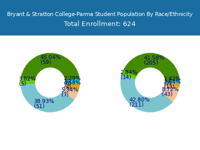 Bryant & Stratton College-Parma 2025 Student Population by Gender and Race chart