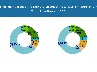 Bryn Athyn College of the New Church 2025 Student Population by Gender and Race chart