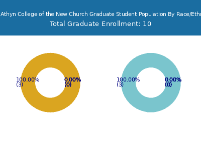Bryn Athyn College of the New Church 2025 Graduate Enrollment by Gender and Race chart