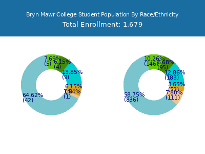 Bryn Mawr College 2025 Student Population by Gender and Race chart
