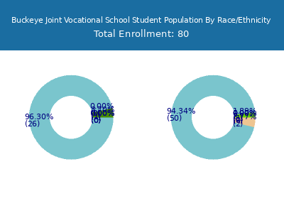 Buckeye Joint Vocational School 2025 Student Population by Gender and Race chart