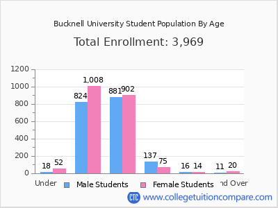 Bucknell University 2025 Student Population by Age chart
