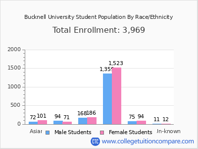 Bucknell University 2025 Student Population by Gender and Race chart