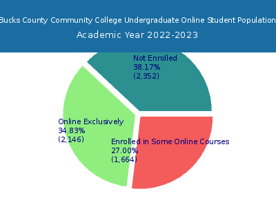 Bucks County Community College 2023 Online Student Population chart