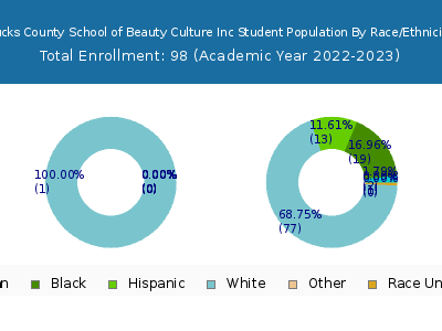 Bucks County School of Beauty Culture Inc 2023 Student Population by Gender and Race chart