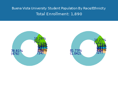 Buena Vista University 2025 Student Population by Gender and Race chart