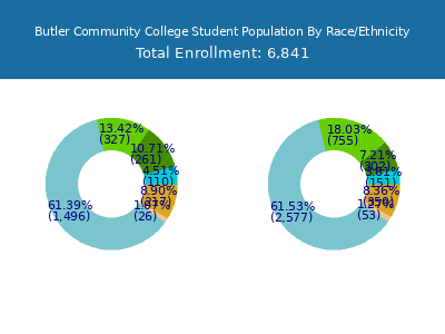Butler Community College 2025 Student Population by Gender and Race chart