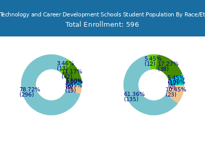 Butler Technology and Career Development Schools 2025 Student Population by Gender and Race chart