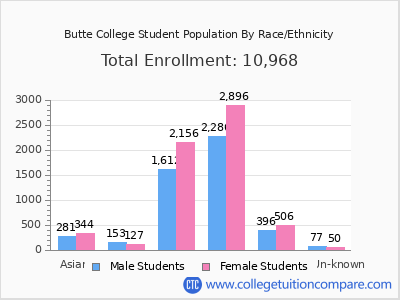 Butte College 2025 Student Population by Gender and Race chart