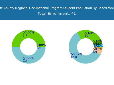 Butte County Regional Occupational Program 2025 Student Population by Gender and Race chart