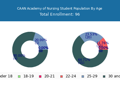 CAAN Academy of Nursing 2024 Student Population Age Diversity Pie chart