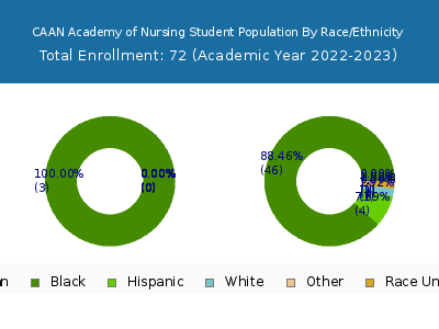 CAAN Academy of Nursing 2023 Student Population by Gender and Race chart