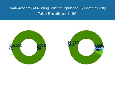 CAAN Academy of Nursing 2025 Student Population by Gender and Race chart