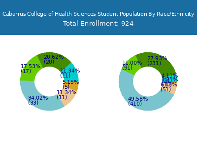 Cabarrus College of Health Sciences 2025 Student Population by Gender and Race chart
