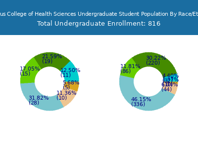Cabarrus College of Health Sciences 2025 Undergraduate Enrollment by Gender and Race chart