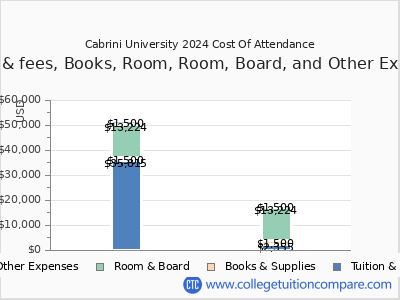 Cabrini University 2024 COA (cost of attendance) chart