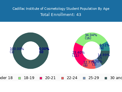 Cadillac Institute of Cosmetology 2024 Student Population Age Diversity Pie chart