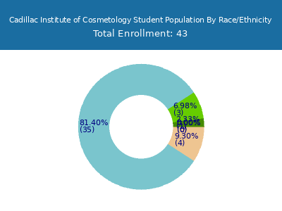 Cadillac Institute of Cosmetology 2025 Student Population by Gender and Race chart