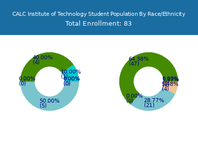 CALC Institute of Technology 2025 Student Population by Gender and Race chart