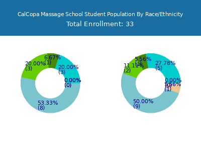 CalCopa Massage School 2025 Student Population by Gender and Race chart