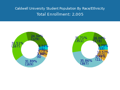 Caldwell University 2025 Student Population by Gender and Race chart