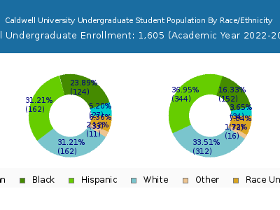 Caldwell University 2023 Undergraduate Enrollment by Gender and Race chart