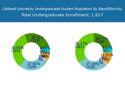 Caldwell University 2025 Undergraduate Enrollment by Gender and Race chart