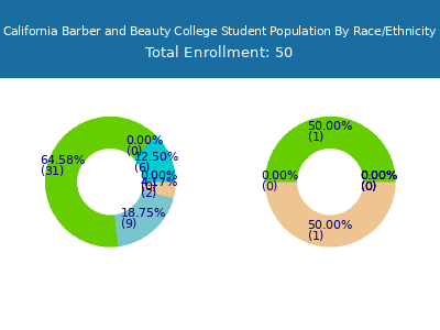 California Barber and Beauty College 2025 Student Population by Gender and Race chart