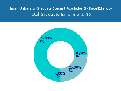 Haven University 2025 Graduate Enrollment by Gender and Race chart