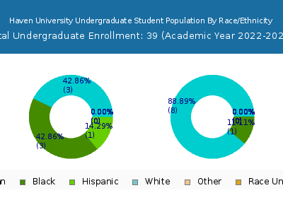 Haven University 2023 Undergraduate Enrollment by Gender and Race chart