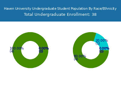 Haven University 2025 Undergraduate Enrollment by Gender and Race chart