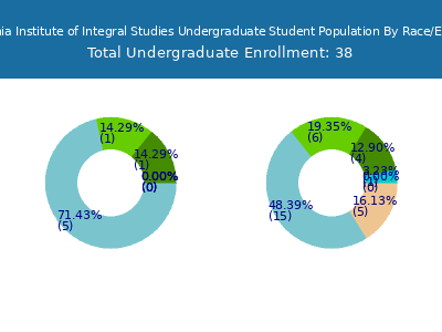 California Institute of Integral Studies 2025 Undergraduate Enrollment by Gender and Race chart