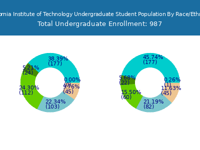 California Institute of Technology 2025 Undergraduate Enrollment by Gender and Race chart