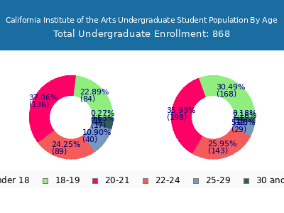 California Institute of the Arts 2024 Undergraduate Enrollment Age Diversity Pie chart