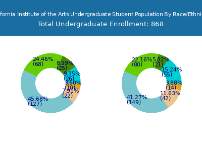 California Institute of the Arts 2025 Undergraduate Enrollment by Gender and Race chart