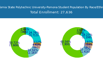 California State Polytechnic University-Pomona 2025 Student Population by Gender and Race chart