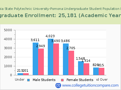 California State Polytechnic University-Pomona 2023 Undergraduate Enrollment by Age chart