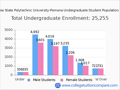 California State Polytechnic University-Pomona 2025 Undergraduate Enrollment by Age chart
