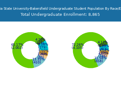 California State University-Bakersfield 2025 Undergraduate Enrollment by Gender and Race chart