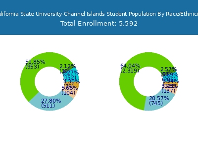 California State University-Channel Islands 2025 Student Population by Gender and Race chart