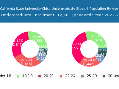 California State University-Chico 2023 Undergraduate Enrollment Age Diversity Pie chart
