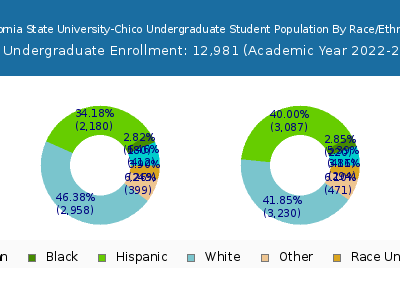 California State University-Chico 2023 Undergraduate Enrollment by Gender and Race chart